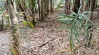 Foto 8 de Fazenda/Sítio com 4 Quartos à venda, 10000m² em Zona Rural, Corumbá de Goiás