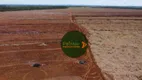 Foto 10 de Fazenda/Sítio à venda, 32912000m² em Zona Rural, Palmas