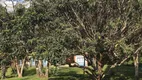 Foto 12 de Fazenda/Sítio com 3 Quartos à venda, 230m² em Pavão-Canguera, São Roque