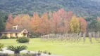 Foto 2 de Fazenda/Sítio com 1 Quarto à venda, 8663m² em Linha 28, Gramado