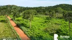 Foto 7 de Fazenda/Sítio à venda, 1156m² em Zona Rural, Lagoa do Tocantins