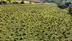 Foto 10 de Fazenda/Sítio com 2 Quartos à venda, 84000m² em Zona Rural, Jacutinga