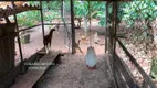 Foto 9 de Fazenda/Sítio com 3 Quartos à venda, 5000m² em Estância Vale das Brisas , Anápolis