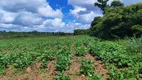 Foto 24 de Fazenda/Sítio com 3 Quartos à venda, 11m² em Cobe de Cima, Vera Cruz