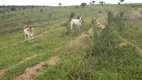 Foto 11 de Lote/Terreno à venda, 20000m² em Zona Rural, Paraopeba