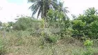 Foto 10 de Lote/Terreno à venda, 900m² em Sibauma, Tibau do Sul