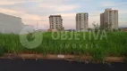 Foto 2 de Lote/Terreno à venda, 250m² em Loteamento Luizote IV, Uberlândia