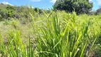 Foto 5 de Fazenda/Sítio à venda, 125000m² em , Rio do Fogo