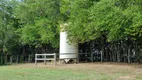 Foto 10 de Fazenda/Sítio à venda, 200000m² em Zona Rural, Tietê