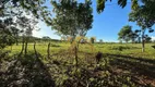 Foto 53 de Fazenda/Sítio com 3 Quartos à venda, 363000m² em Zona Rural, Palmas