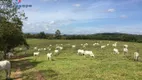 Foto 85 de Fazenda/Sítio com 6 Quartos à venda, 440000m² em Santa Luzia, Passos