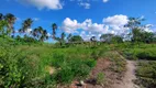 Foto 9 de Fazenda/Sítio com 3 Quartos à venda, 39000m² em Centro, Areia Branca