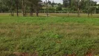 Foto 2 de Lote/Terreno à venda, 301m² em Recanto Tropical, Cascavel