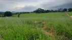 Foto 5 de Fazenda/Sítio à venda em Zona Rural, Nerópolis