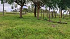 Foto 20 de Fazenda/Sítio com 3 Quartos à venda, 5000m² em Zona Rural, Monte Alegre