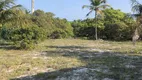 Foto 21 de Lote/Terreno à venda, 24000m² em Praia de Caraubas, Maxaranguape