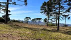 Foto 17 de Fazenda/Sítio à venda, 20000m² em Zona Rural, Urubici