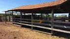 Foto 5 de Fazenda/Sítio com 6 Quartos à venda, 25264800m² em Zona Rural, Porangatu