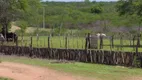 Foto 8 de Fazenda/Sítio com 3 Quartos à venda, 169000m² em Centro, São Pedro