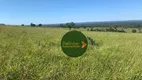 Foto 12 de Fazenda/Sítio à venda, 58080000m² em , Pontal do Araguaia