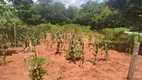 Foto 9 de Fazenda/Sítio com 6 Quartos à venda, 300m² em Centro, Inhaúma