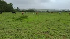 Foto 8 de Fazenda/Sítio com 4 Quartos à venda, 280000m² em Area Rural de Brazlandia, Brasília