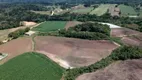 Foto 4 de Lote/Terreno à venda, 10m² em Campo Largo da Roseira, São José dos Pinhais