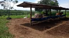 Foto 31 de Fazenda/Sítio com 3 Quartos à venda, 150m² em Rural, Cesário Lange