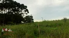 Foto 8 de Fazenda/Sítio com 1 Quarto à venda, 2400m² em Campo Largo da Roseira, São José dos Pinhais