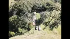 Foto 8 de Fazenda/Sítio com 2 Quartos à venda, 195000m² em Serra Alta, São Bento do Sul