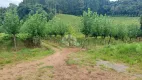 Foto 3 de Fazenda/Sítio com 1 Quarto à venda, 60000m² em Vale dos Vinhedos, Bento Gonçalves