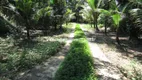 Foto 19 de Fazenda/Sítio com 6 Quartos à venda, 60000m² em Japuíba, Cachoeiras de Macacu