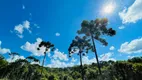 Foto 24 de Lote/Terreno à venda, 100000m² em Bateias de Baixo, Campo Alegre