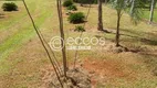 Foto 5 de Fazenda/Sítio com 4 Quartos à venda, 5000m² em Chácaras Eldorado, Uberlândia