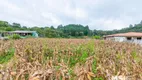 Foto 10 de Fazenda/Sítio com 4 Quartos à venda, 420m² em Sao Silvestre, Campo Largo