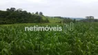 Foto 5 de Fazenda/Sítio com 4 Quartos à venda, 779000m² em , Aguanil