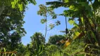 Foto 14 de Lote/Terreno à venda, 4000m² em Freguesia- Jacarepaguá, Rio de Janeiro