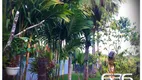 Foto 27 de Fazenda/Sítio com 5 Quartos à venda, 156m² em Rio Bonito, Joinville
