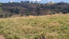 Foto 18 de Fazenda/Sítio com 3 Quartos à venda, 500m² em Zona Rural, Guapó