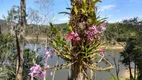 Foto 17 de Fazenda/Sítio com 3 Quartos à venda, 130m² em Bairro do Cedro, Paraibuna