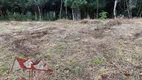 Foto 14 de Fazenda/Sítio com 1 Quarto à venda, 5000m² em Colonia Marcelino, São José dos Pinhais