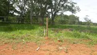 Foto 11 de Fazenda/Sítio à venda, 20000m² em Zona Rural, Araçaí