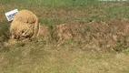 Foto 7 de Lote/Terreno à venda em Grama, Juiz de Fora