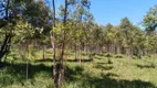 Foto 5 de Fazenda/Sítio com 1 Quarto à venda, 1m² em Zona Rural, Angatuba