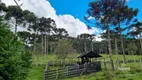 Foto 8 de Fazenda/Sítio com 3 Quartos à venda, 147m² em São Miguel, Campo Alegre