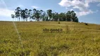 Foto 13 de Fazenda/Sítio à venda, 726000m² em Zona Rural, Botucatu