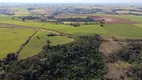 Foto 3 de Fazenda/Sítio à venda, 484000m² em Zona Rural, Ipeúna