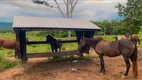 Foto 15 de Fazenda/Sítio à venda, 350000m² em Centro, Araputanga