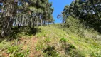 Foto 47 de Fazenda/Sítio à venda, 48400m² em Zona Rural, Campo Magro