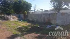 Foto 6 de Lote/Terreno para alugar, 2600m² em VILA VIRGINIA, Ribeirão Preto